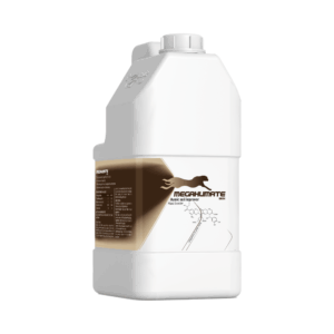 مگاهومات بن