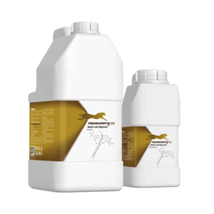 مگاهومات بن 112