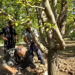 Report of the Visit to the Gardens of the Ghadim Abad Region of Qazvin