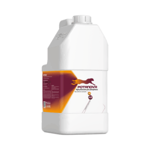 پتانوا (K45)